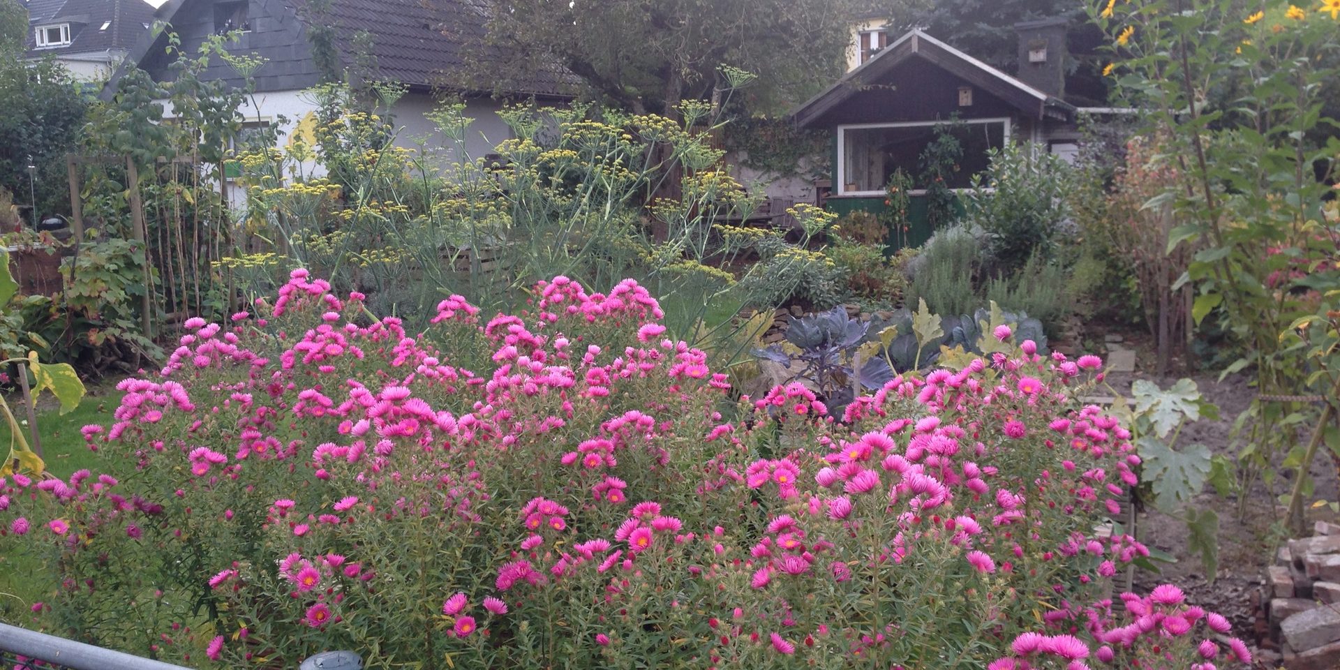 Gartenparzelle mit Blüten und Gartenlauben